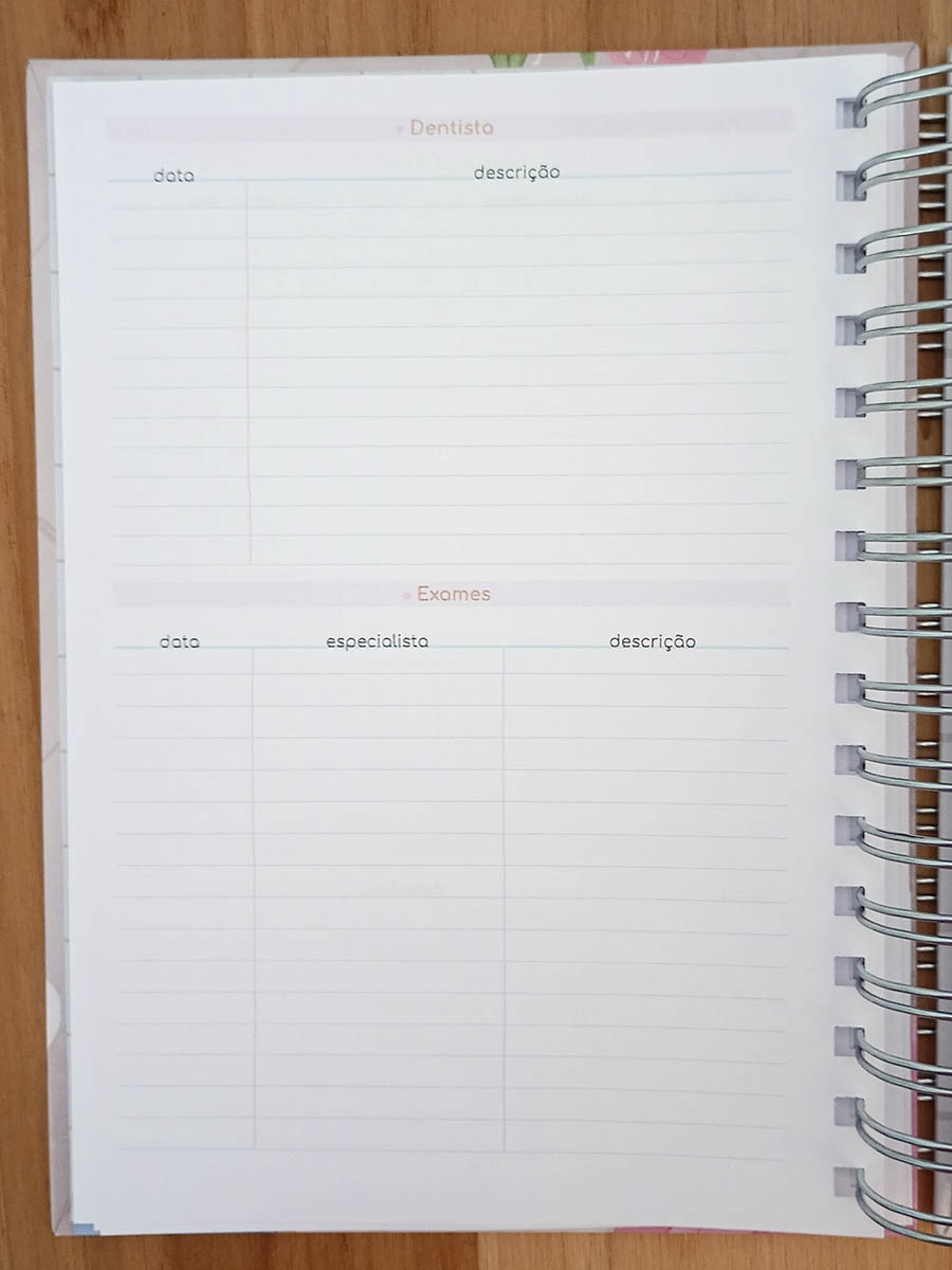 Planner 2026 personalizado - Imagem 15
