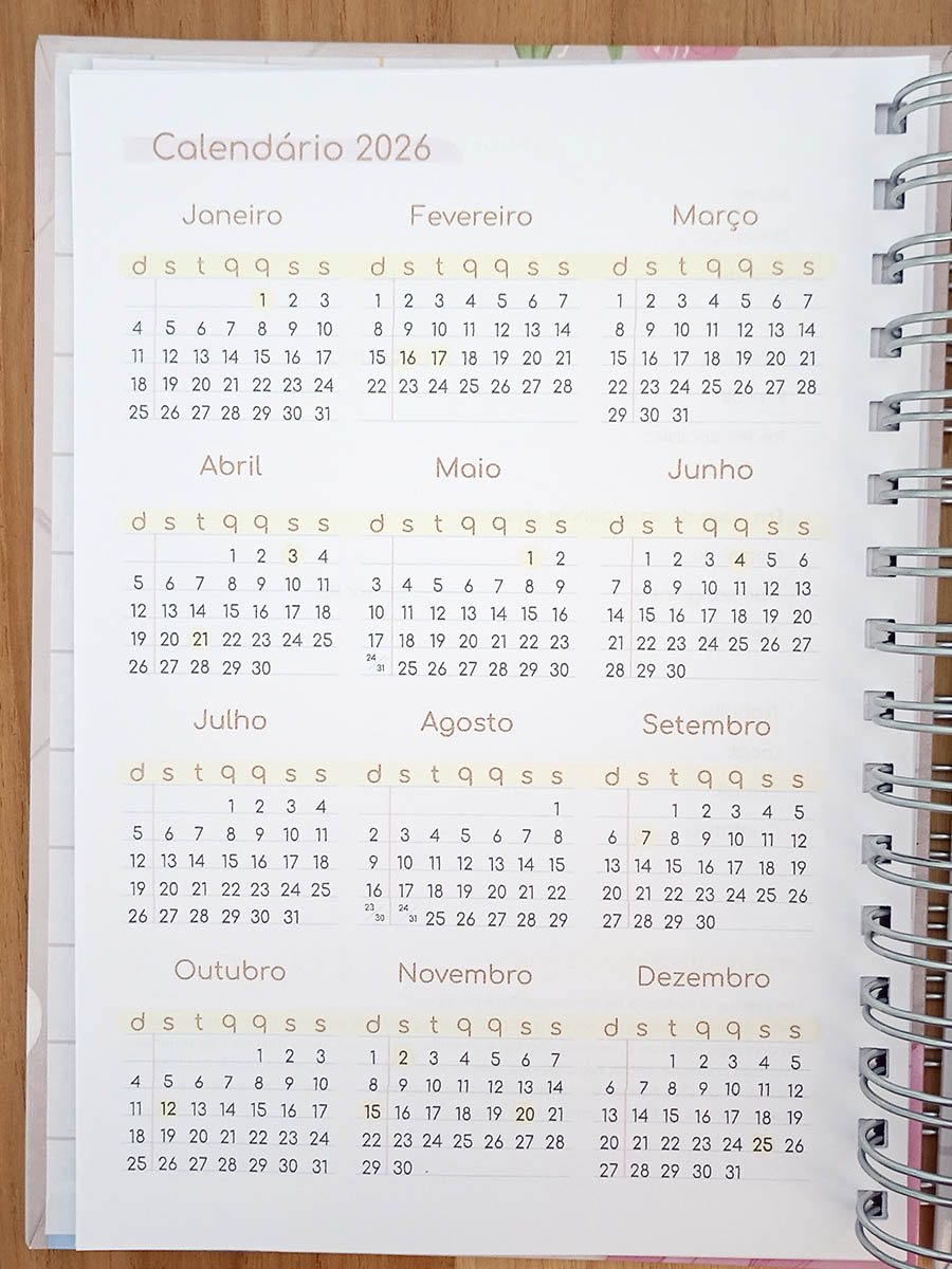Planner 2026 personalizado - Imagem 17