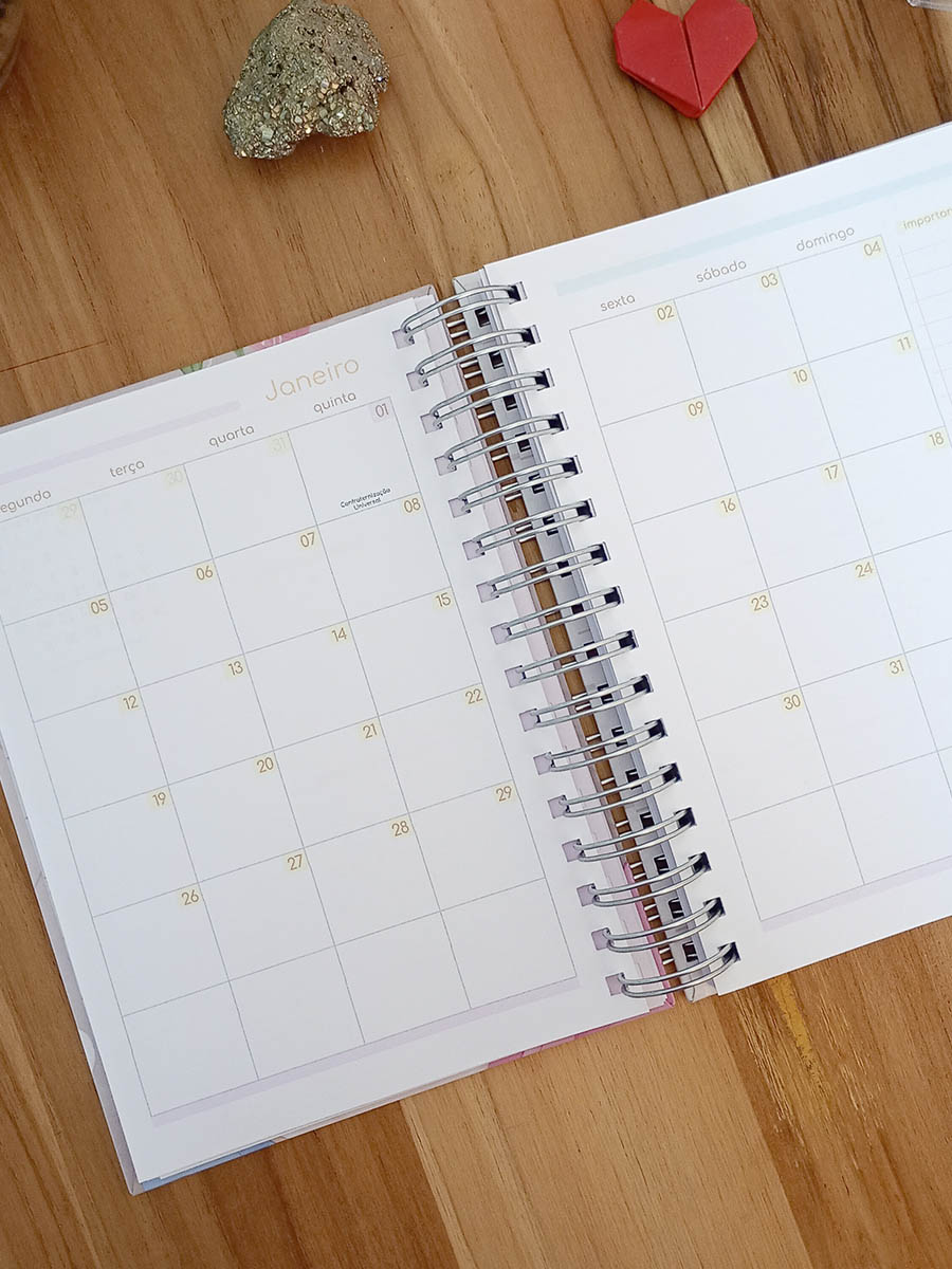 Planner 2026 personalizado - Imagem 28