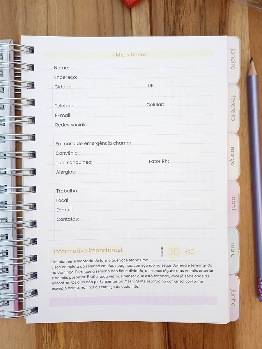 Planner 2026 personalizado - Imagem 9