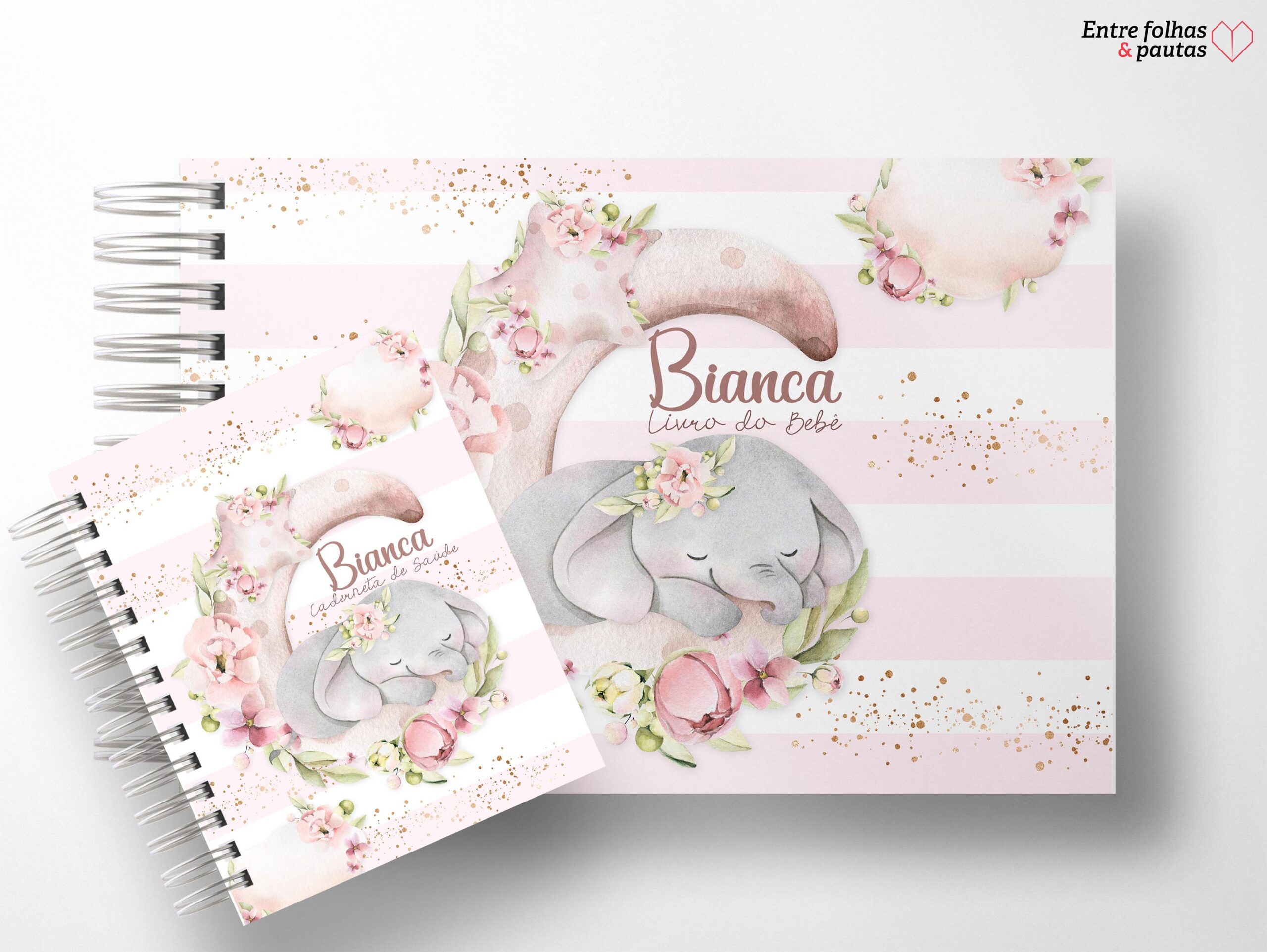 Kit minha menina - caderneta de saúde e livro do bebê personalizado - Imagem 25
