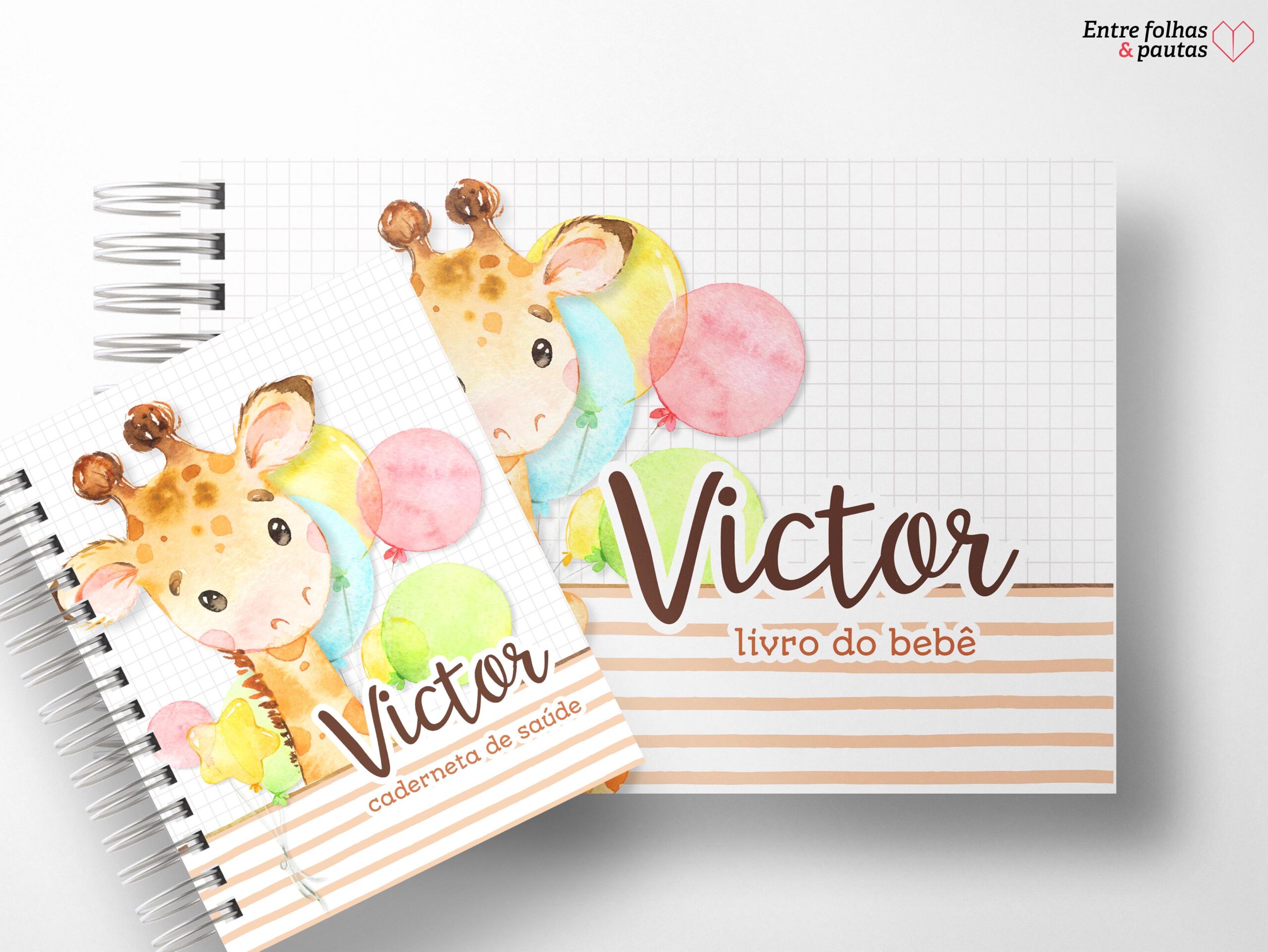 Kit minha menina - caderneta de saúde e livro do bebê personalizado - Imagem 34